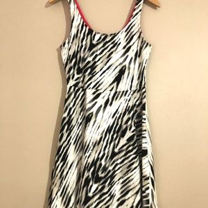 Express Skater Dress